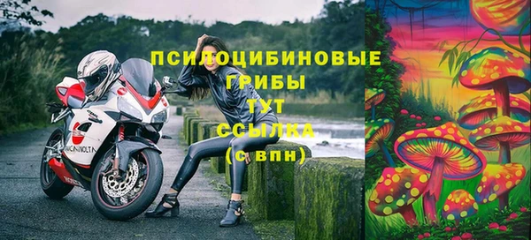 стаф Арсеньев