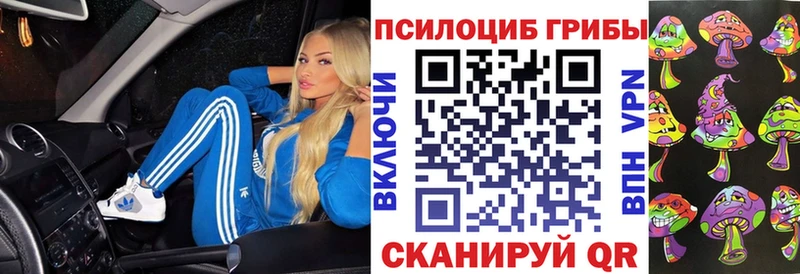как найти   даркнет как зайти  Галлюциногенные грибы мицелий  Чердынь 